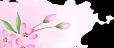 Spring Flowers