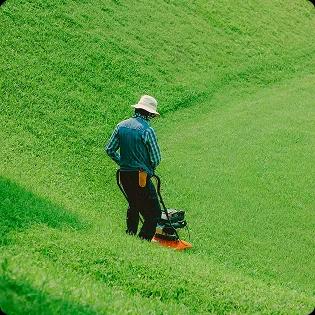 Lawn Care